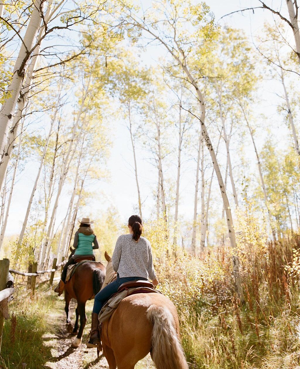 Horseback riding in Autumn Leaves of Grand Teton National Park