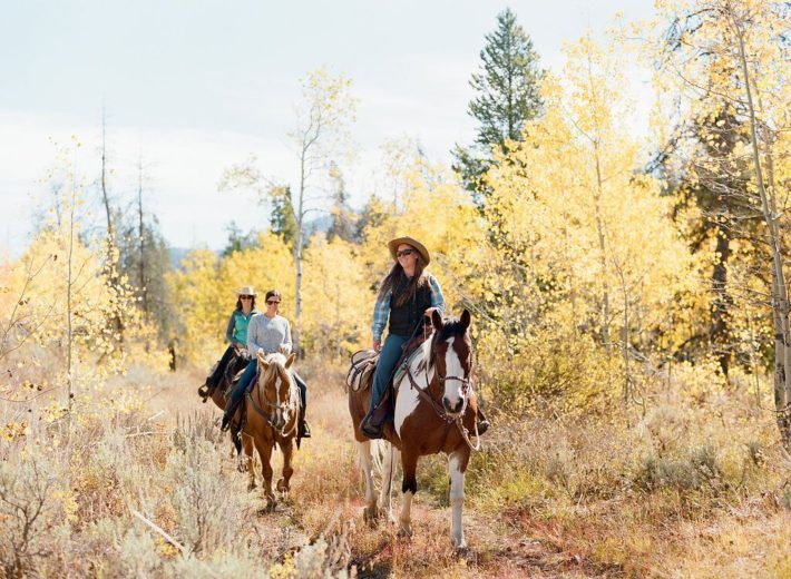 Horseback riders enjoy a trail ride at Turpin Meadow Ranch in Jackson Hole Wyoming during the Fall Foliage