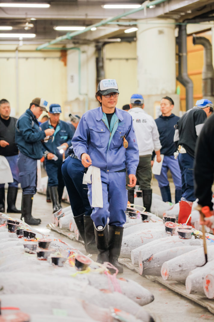 Tsukiji Fish Market Auction in Tokyo. A bidder inspects the tuna before the auction begins.