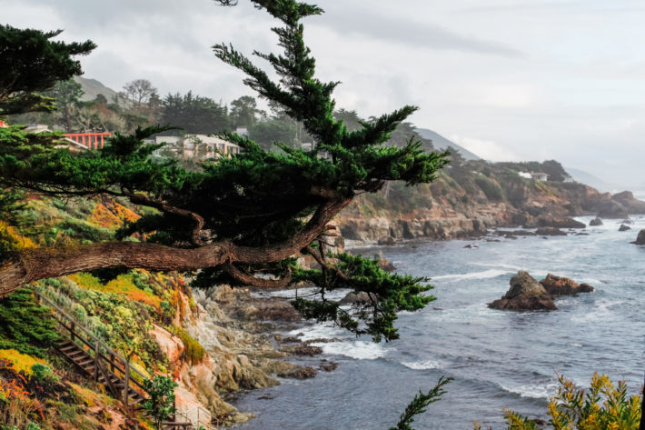 Carmel California Coastline