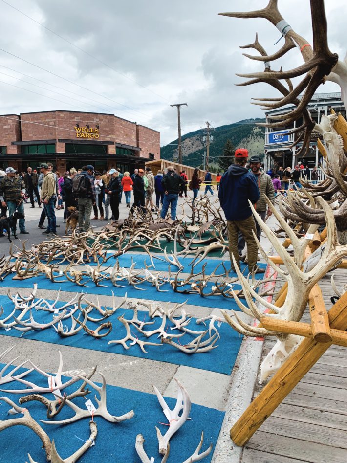 jackson hole elk antler auction