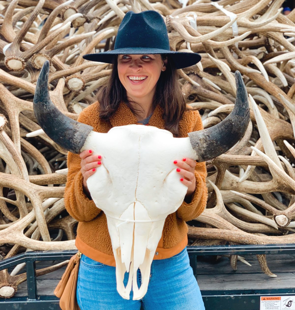 jackson hole blogger at elk antler auction