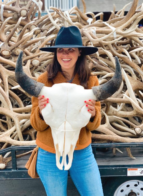 jackson hole blogger at elk antler auction