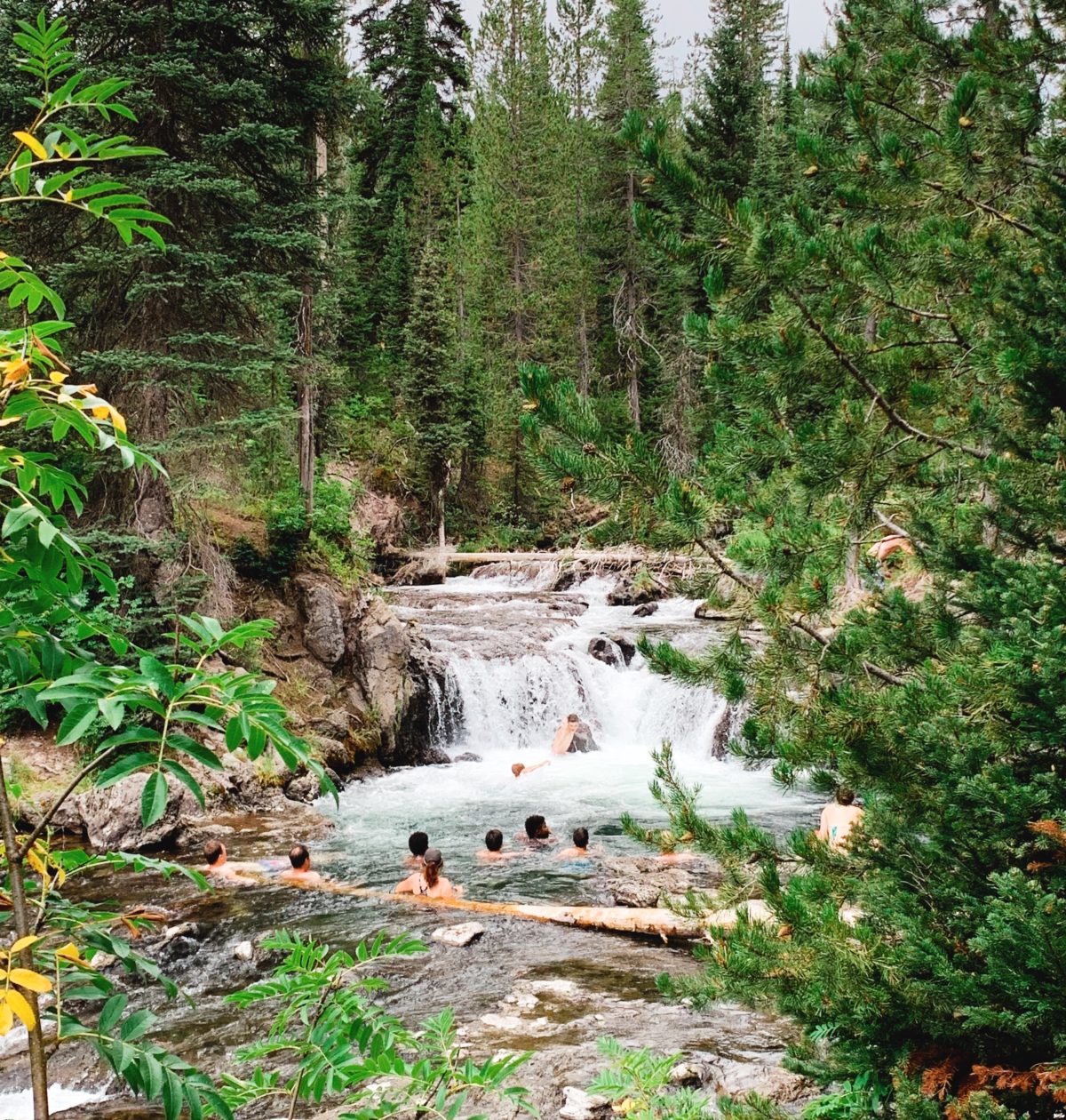 ouzel pool yellowstone