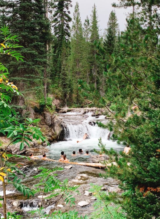 ouzel pool yellowstone