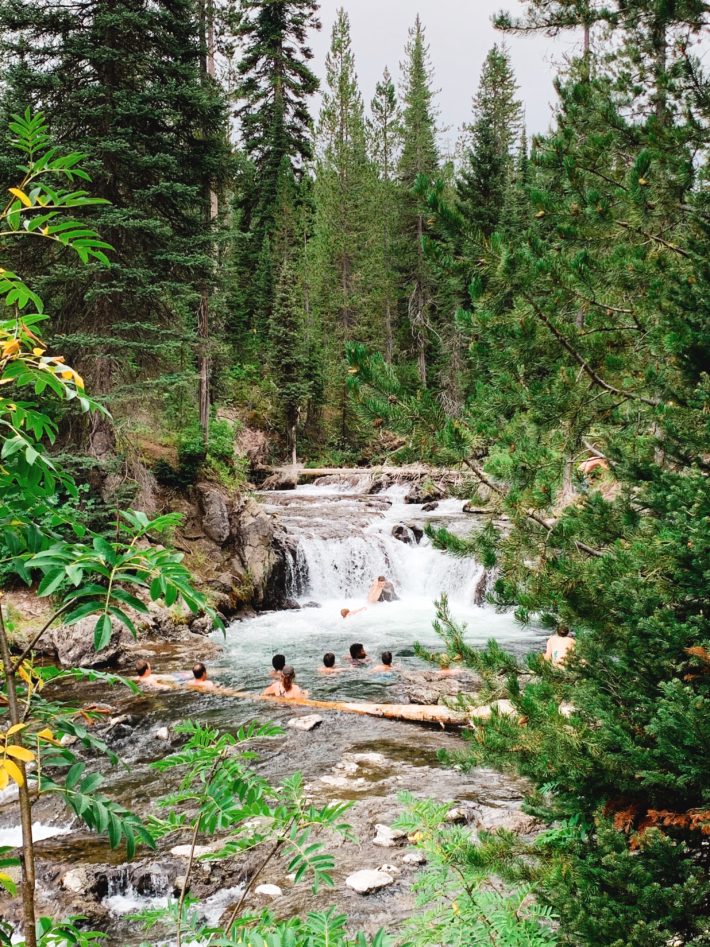 ouzel pool yellowstone