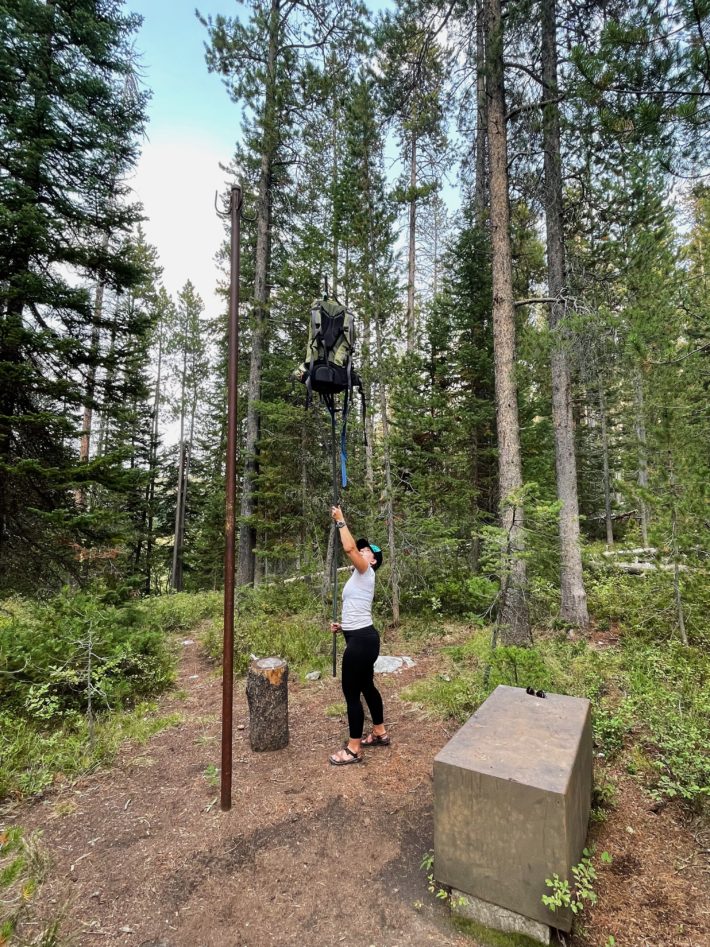 camping tips for grand teton national park