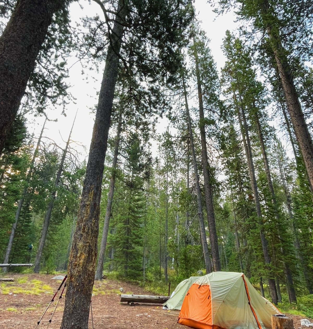 camping tips for grand teton national park