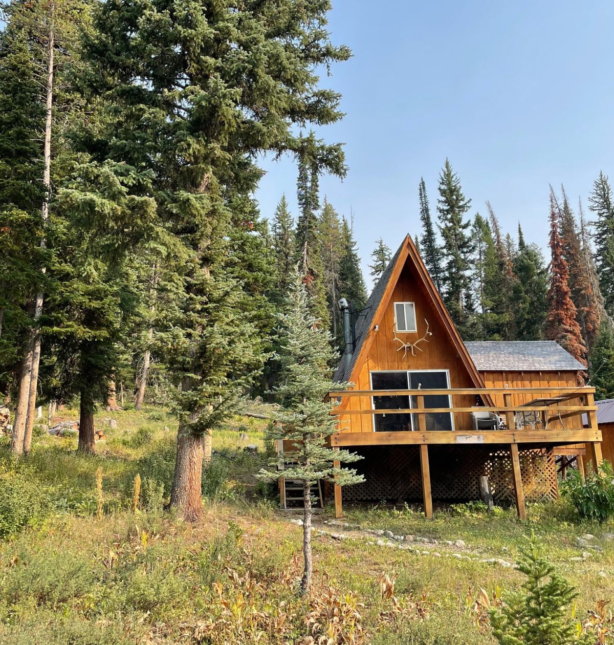 US Forest Service Cabin for Sale in Jackson Hole