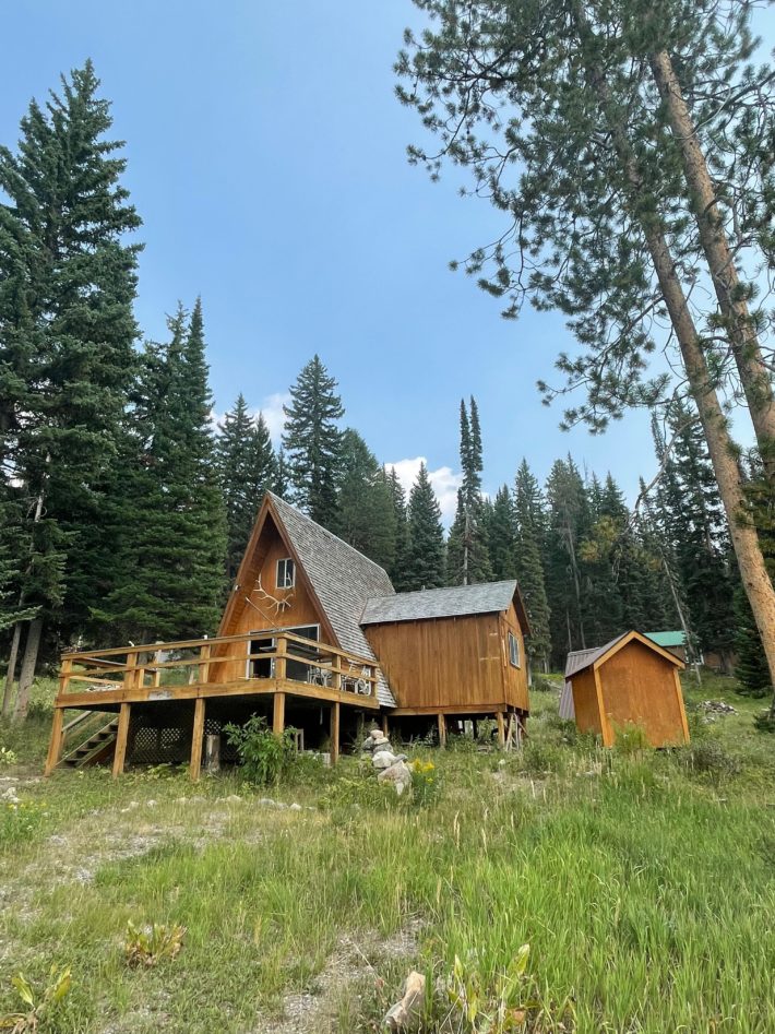 us forest service cabin for sale