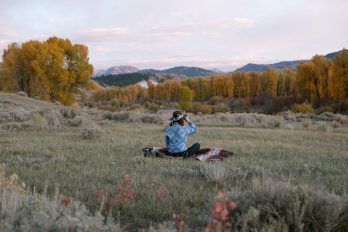 listening to elk bugle in jackson hole