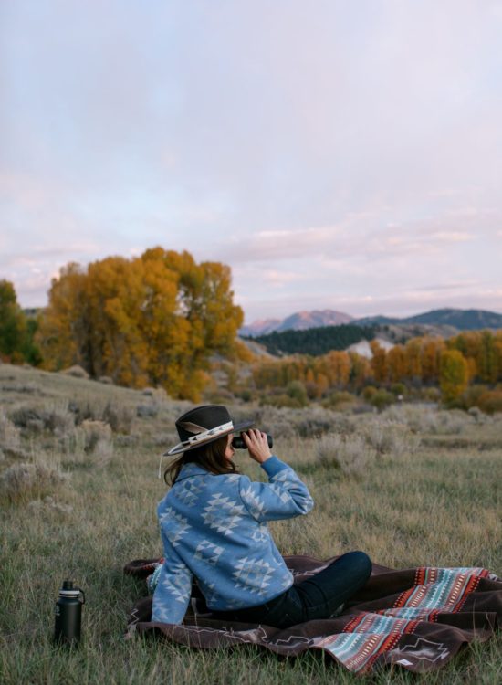 jackson hole elk bugle