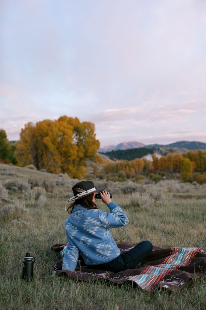 jackson hole elk bugle