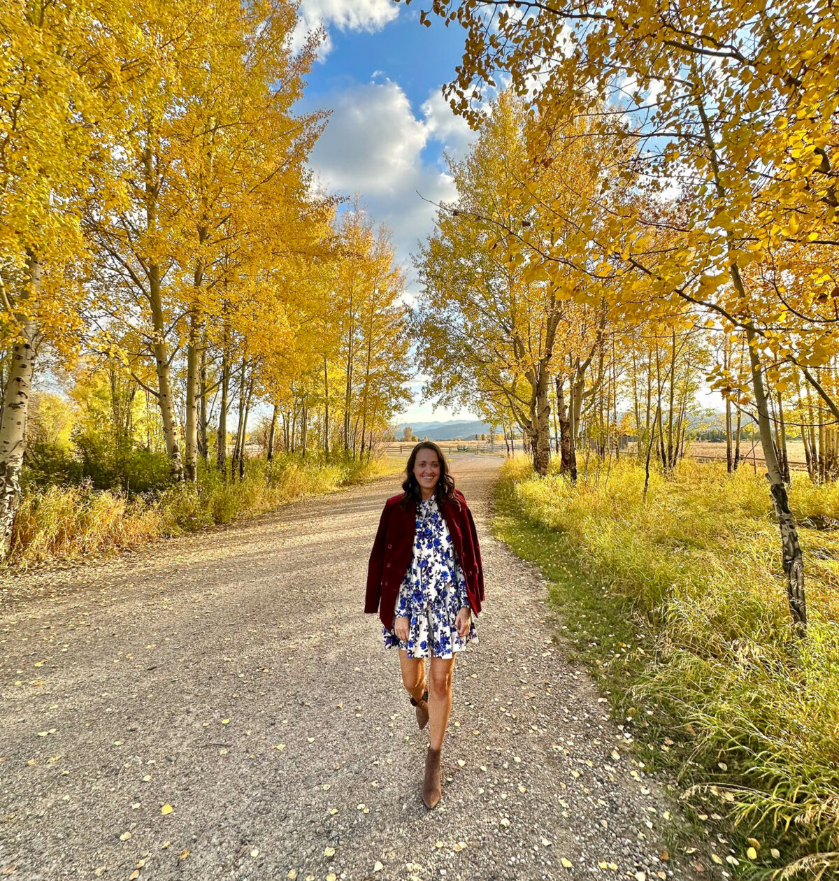 Jackson Hole blogger in the fall