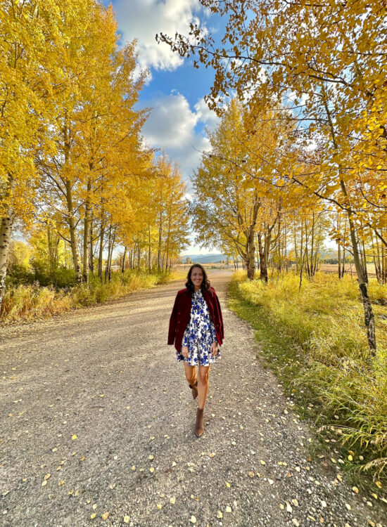 Jackson Hole blogger in the fall